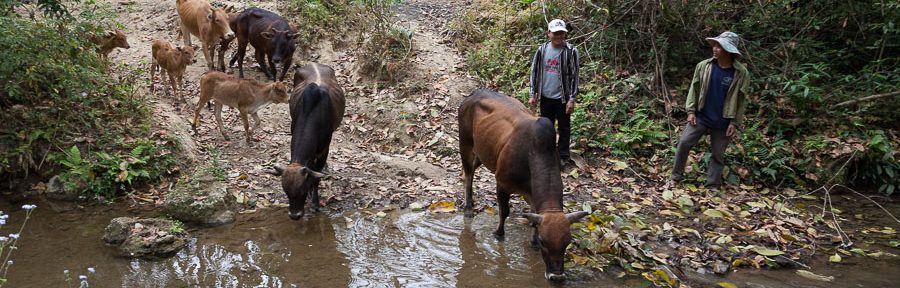 Laos: Entspannter erster Teil der Wanderung
