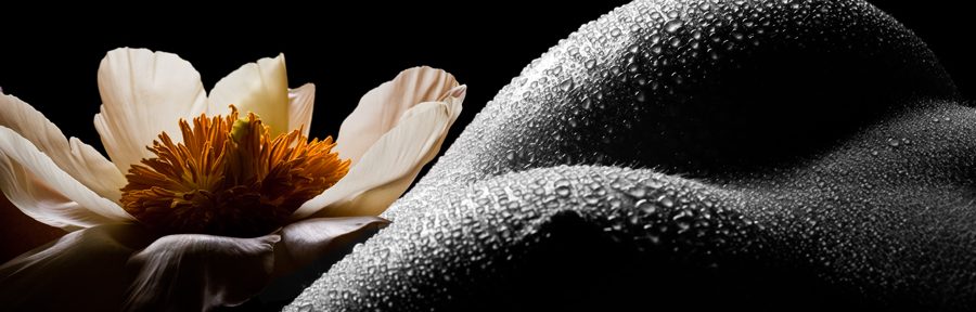 Körperlandschaften mit Melethril Myril und Blumen