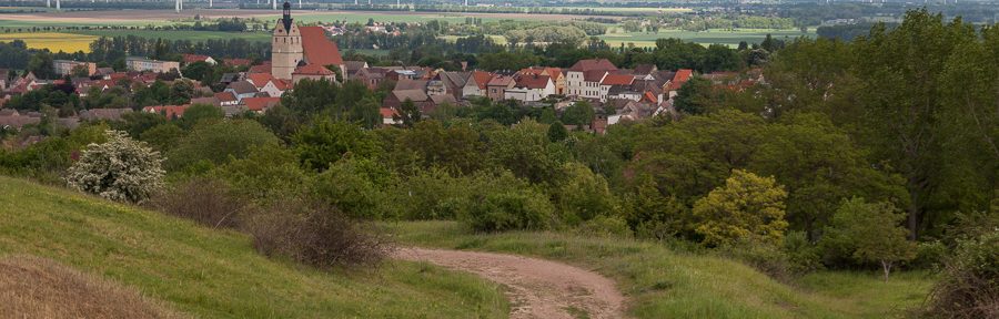 Kurzbesuch mit Überblick in Löbejün