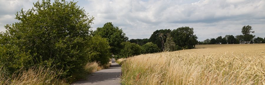 Muldentalradweg – Von Grimma nach Eilenburg