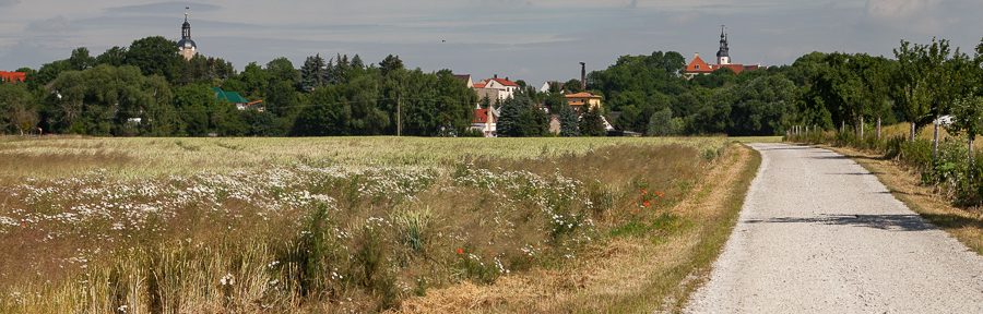 Muldentalradweg – Von Eilenburg nach Bad Düben