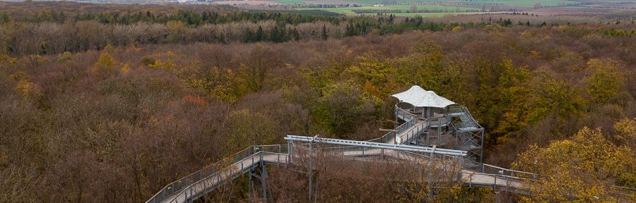 Baumkronenpfad Hainich im Spätherbst