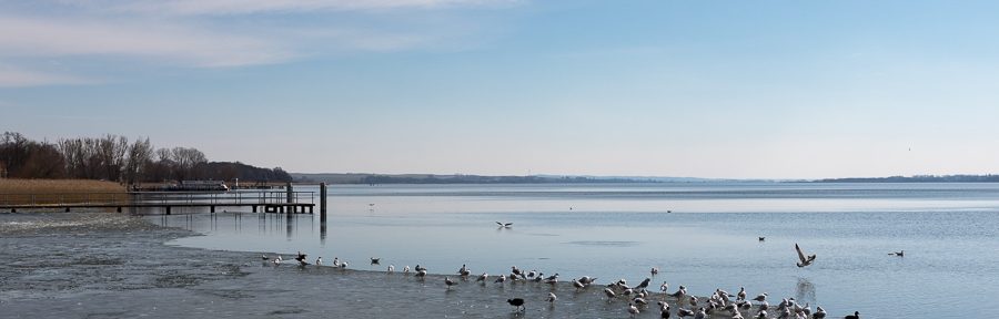 Prenzlau am Unteruckersee