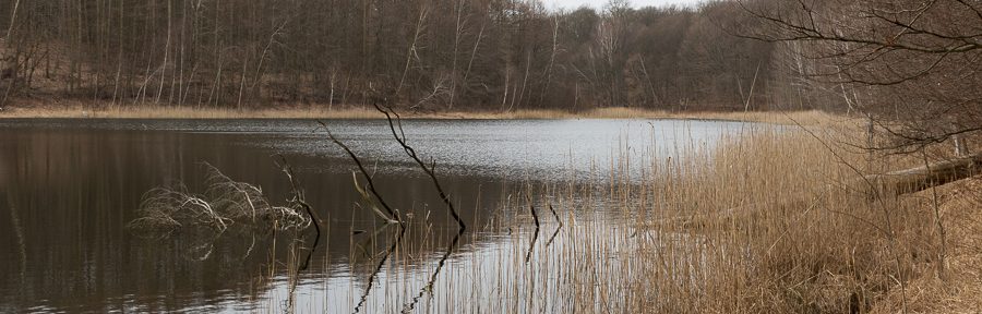 Osterspaziergang durch den Melzower Forst