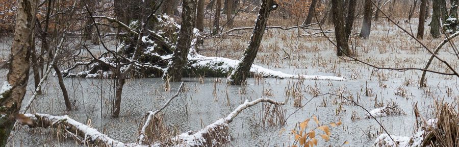 Winterliche Wanderung um den Großen Rathsburgsee