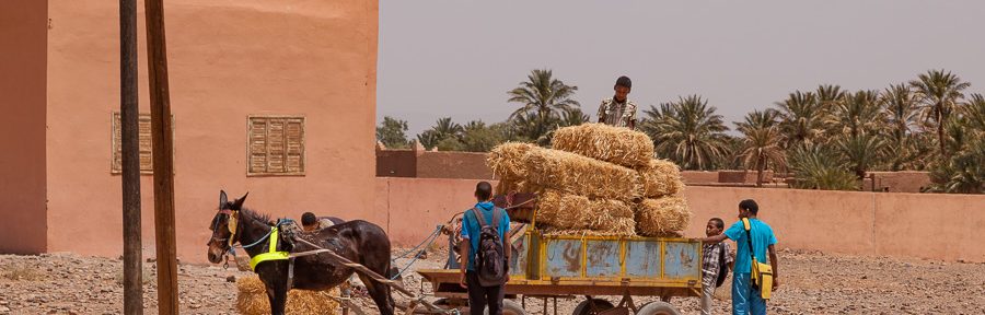 Wüstentrip in Marokko – von Mhamid nach Ouarzazate