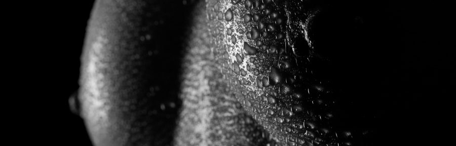 Lowkeyshooting mit Marie