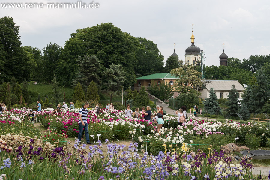 Kiew Botanischer Garten