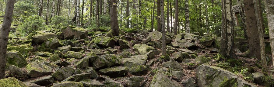 Spaziergang in und um Jaremtsche