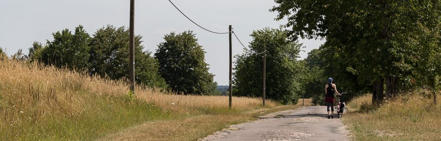 Paddeln und Radeln bei Lychen