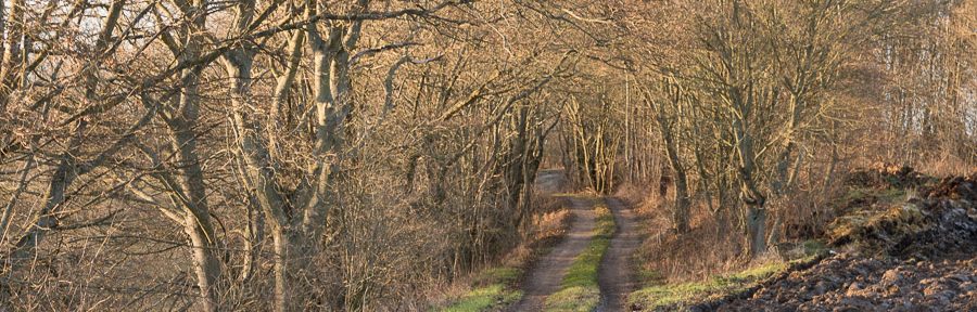 Wanderung: Droyßig – Kretzschau – Mannsdorf – Droyßig