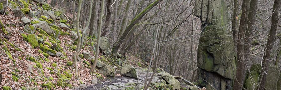 Wanderung zum Hexentanzplatz