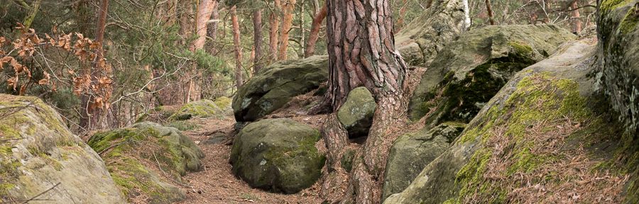 Erster Kurzbesuch an der Teufelsmauer