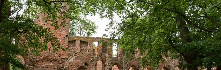 Klosterruine Eldena (Ankunft in Greifswald)