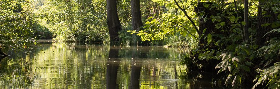 Paddeln im Spreewald – von Burg nach Raddusch