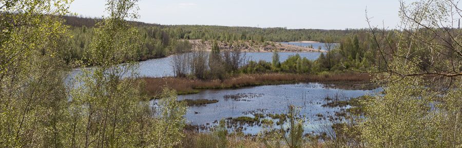 Radtour am Bockwitzer See
