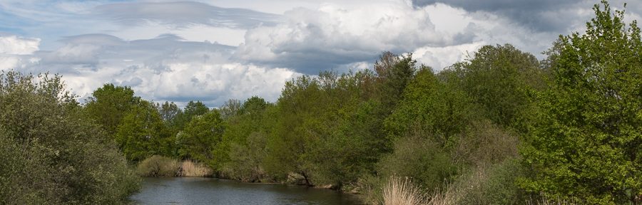 Spaziergang am Rande von Lübben