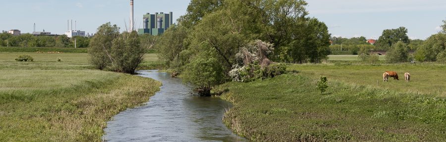 Radtour – Wallendorfer und Raßnitzer See – Merseburg
