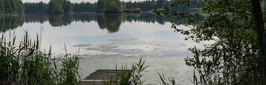Radwanderung durchs Dubringer Moor