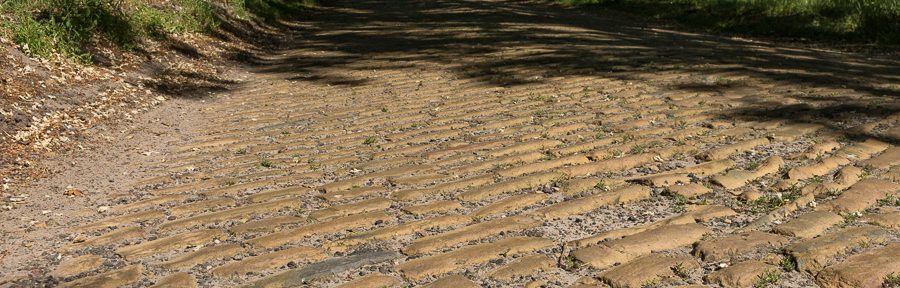 Über die Ziegelstraße zum Riewendsee