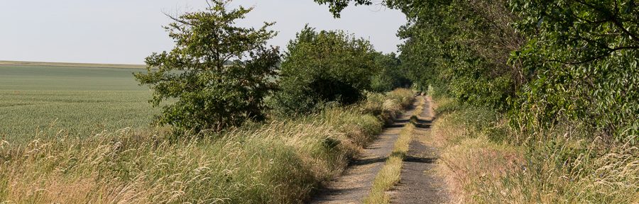Morgendliche Radtour von Wachow nach Gutenpaaren