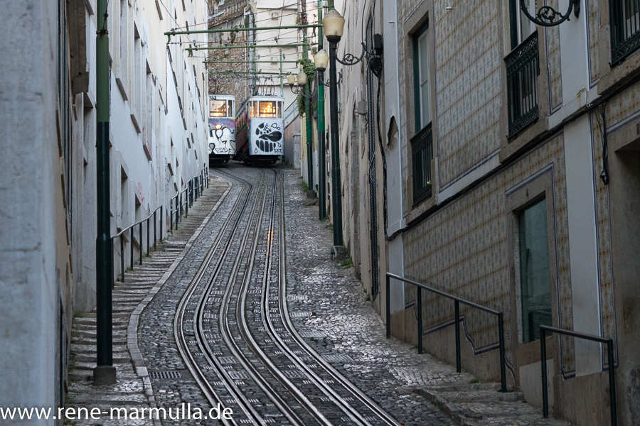 Guten Morgen Lissabon