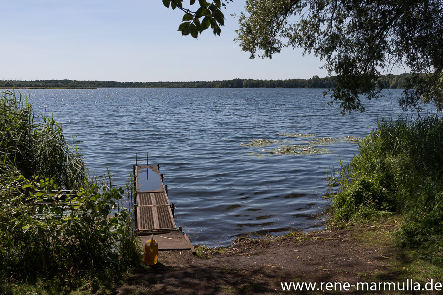 Ein Steg am Stoßdorfer See im Sommer