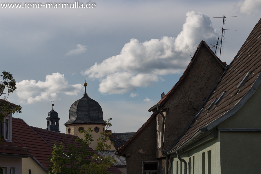 Tagesausflug nach Sangerhausen – Rosarium und Stadt