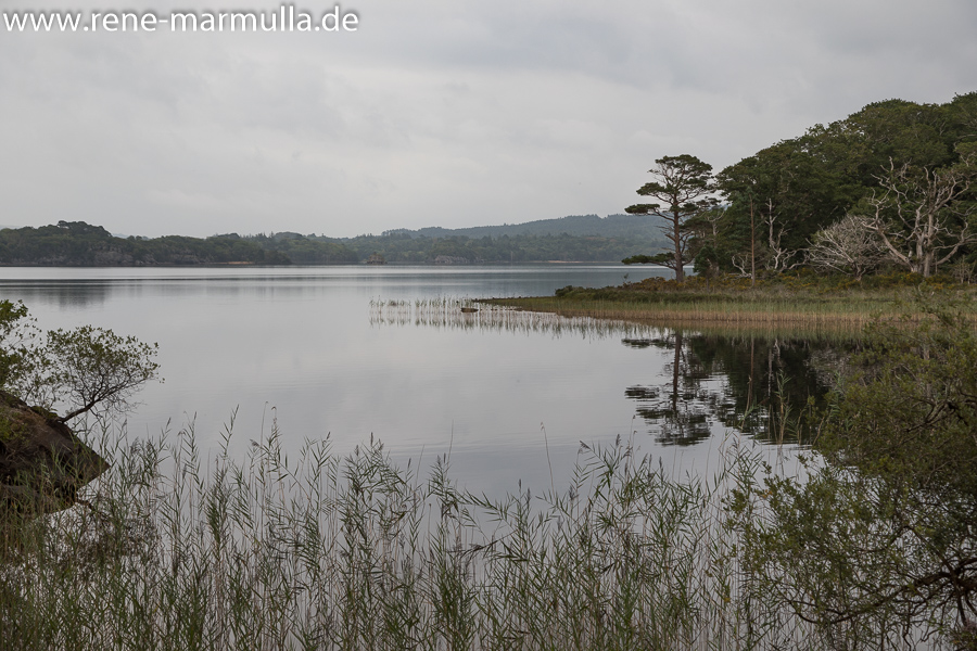 Muckross Lake und eine Wanderung zur Old Weir Bridge