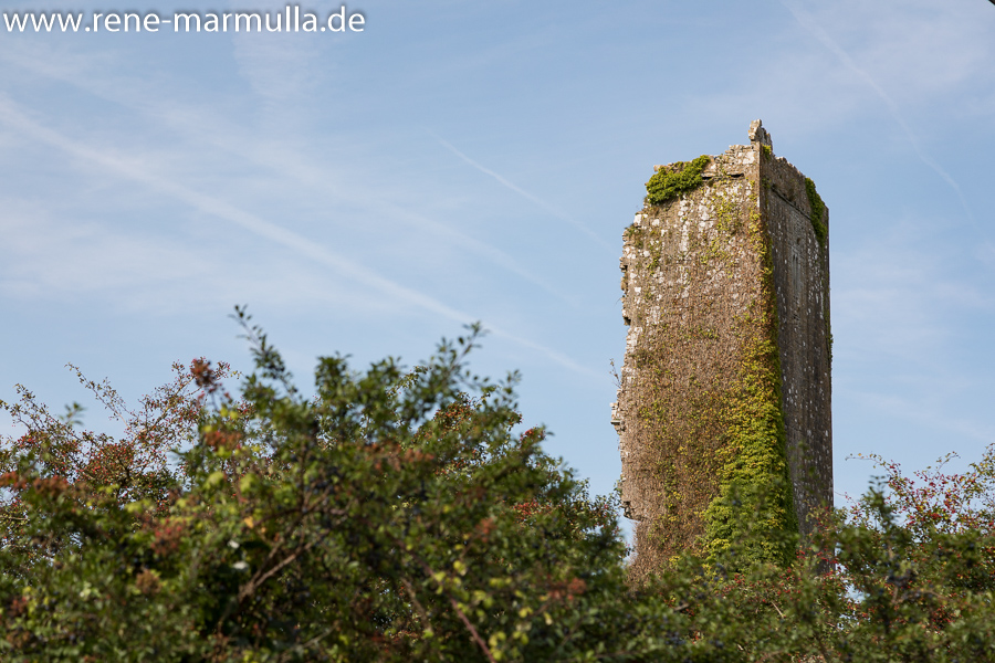 Ballyportry, Lough Bunny und Boston (Irland)