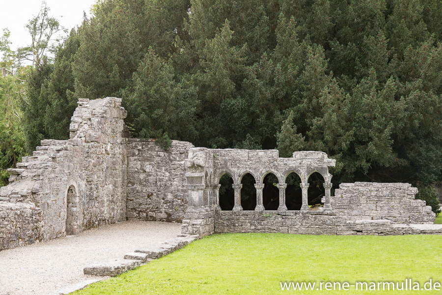 Erster Besuch in Cong Abbey