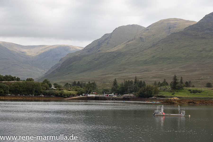 Killary Fjord und Aaleagh Falls und zwei Schafe am Ufer