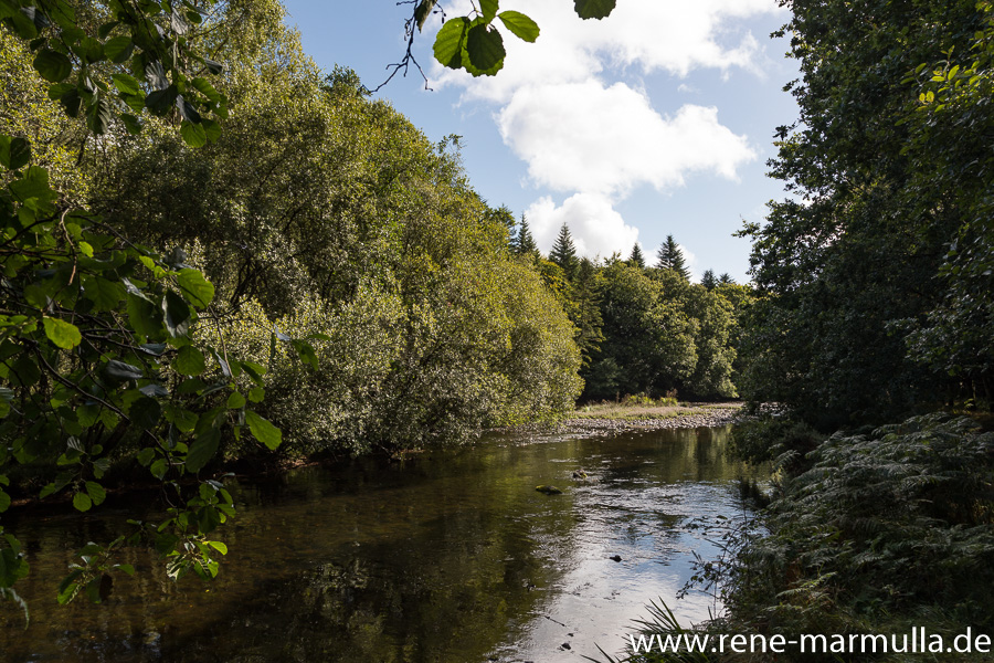 Kurze Wanderung am Inchavore River