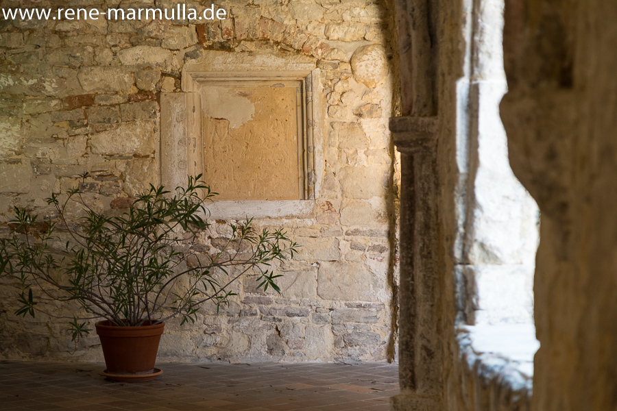 Kloster Michaelstein und seine Karpfen