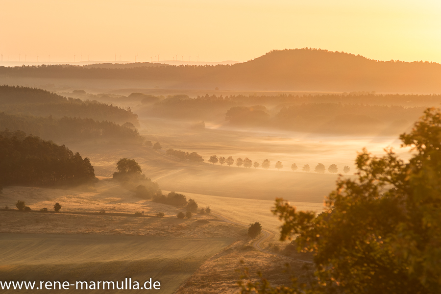 Guten Morgen Heimburg (Blankenburg)